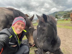 Fohlen u Pferd liegt