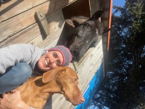 Pferd in Box mit Hund und Angela