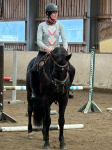 Pferd Reiter Springen